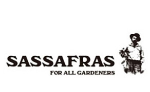 Sassafras