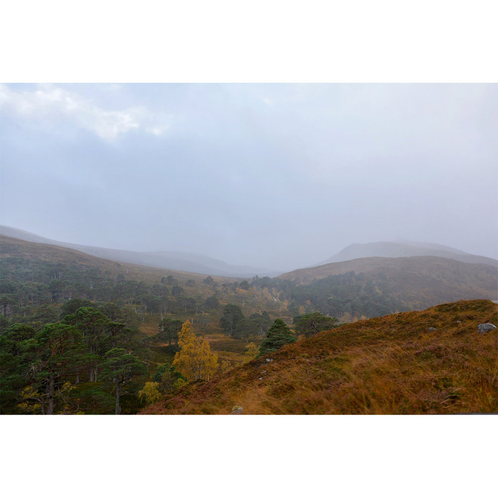 The Highland Eagle Edit