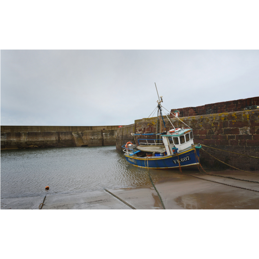 A Coastal Curation