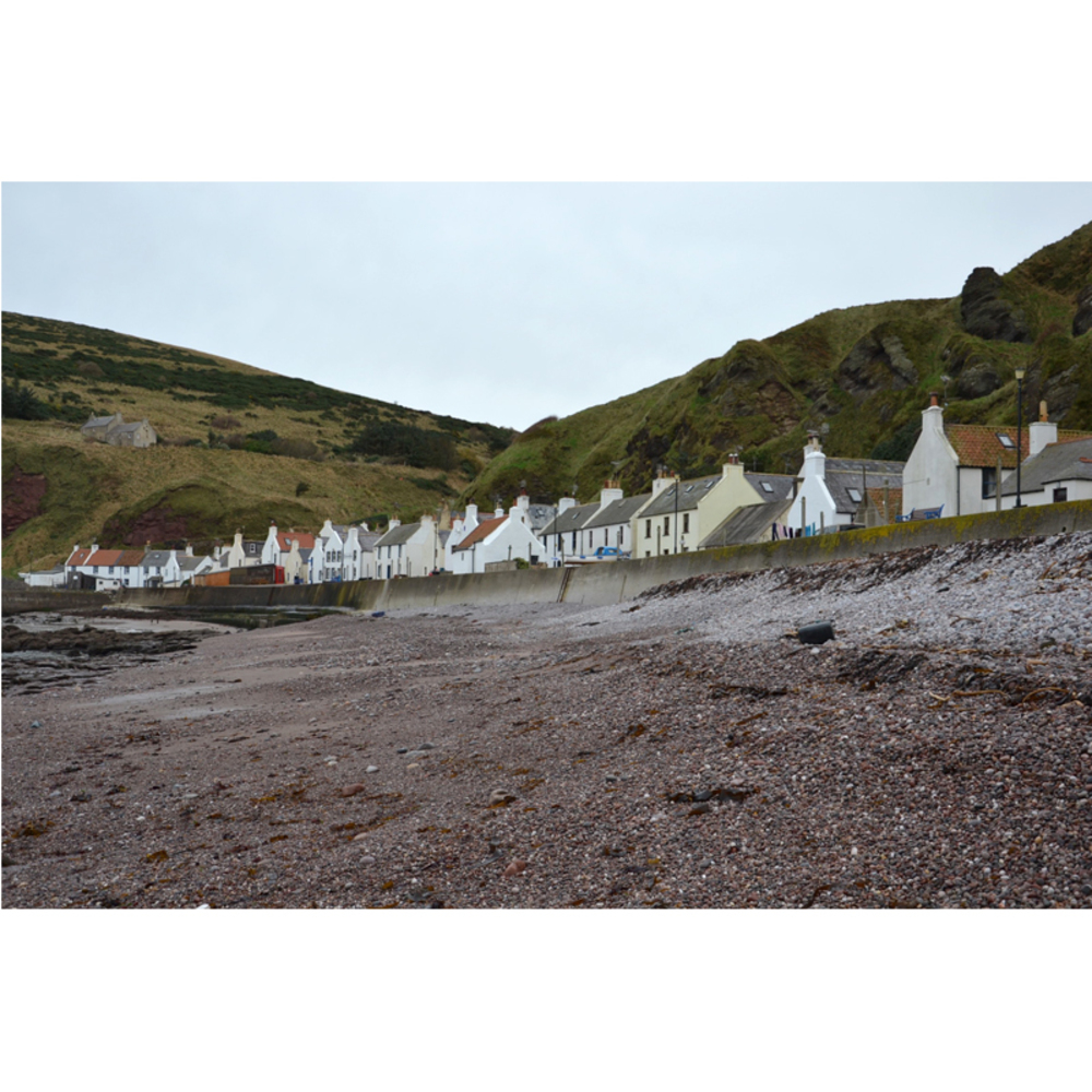 A Coastal Curation
