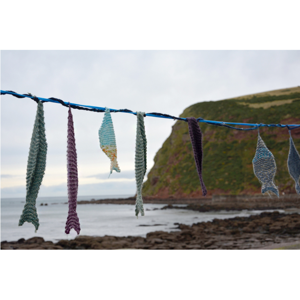 A Coastal Curation