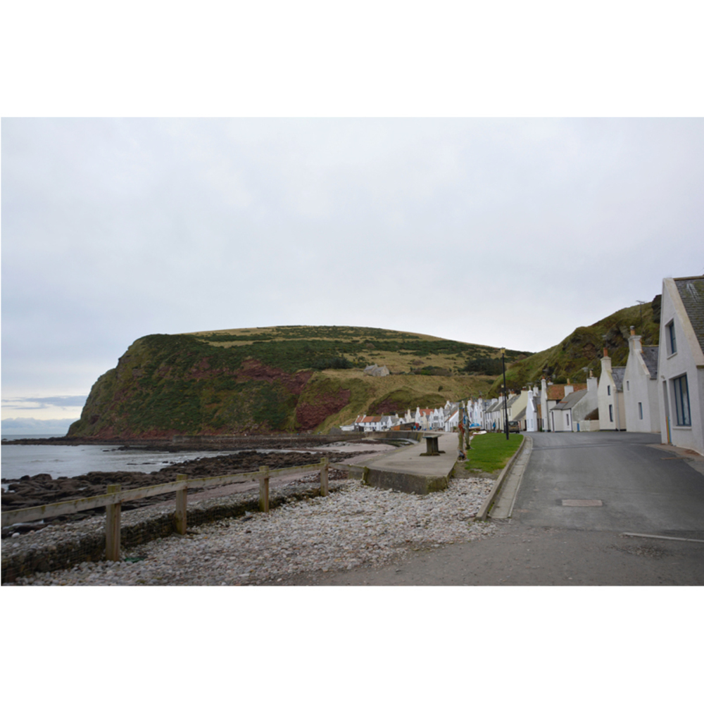 A Coastal Curation