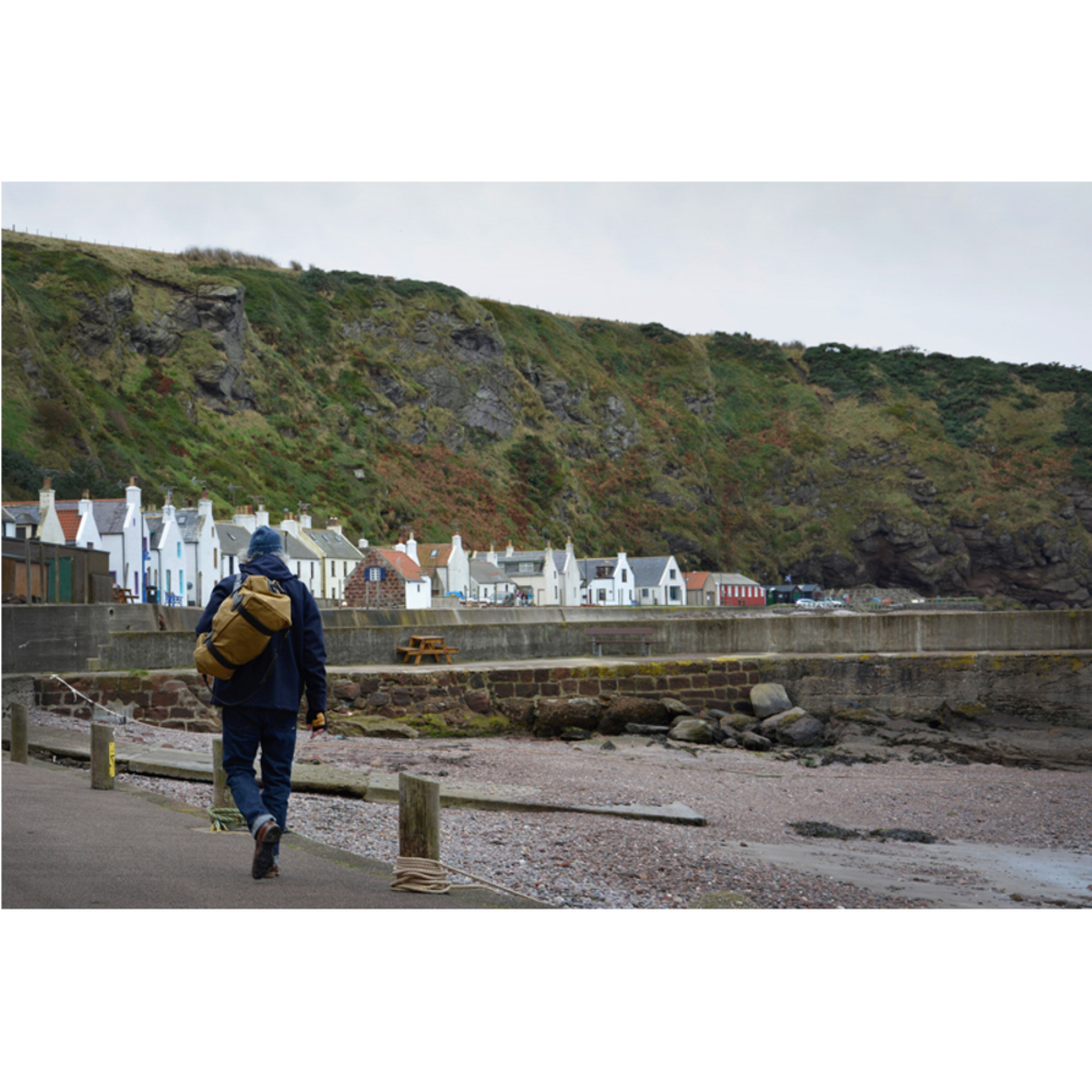 A Coastal Curation
