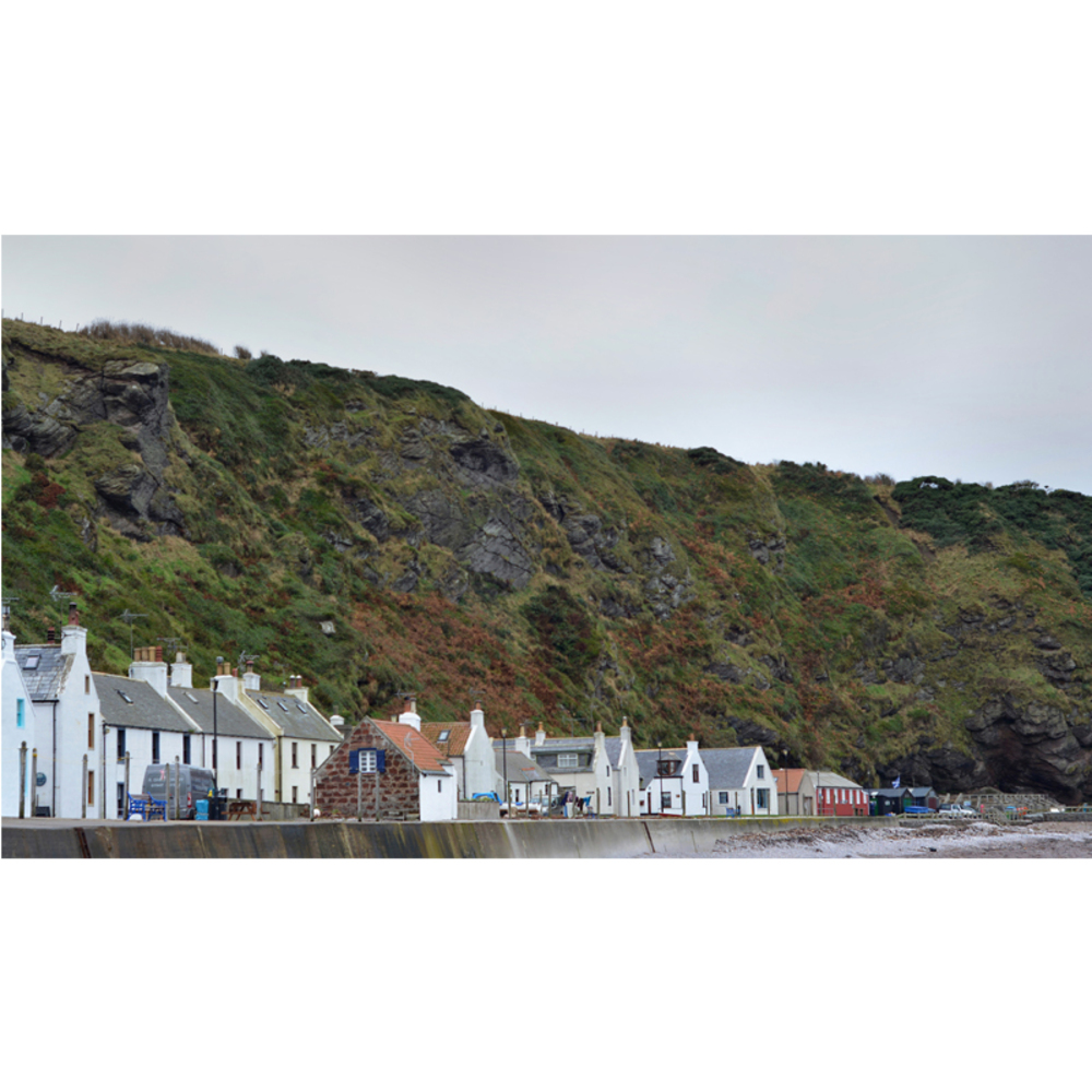 A Coastal Curation