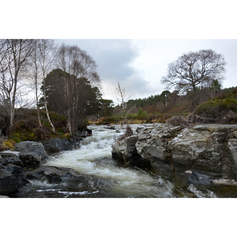 Linn O' Dee Curation