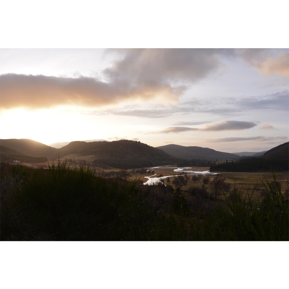 Linn O' Dee Curation