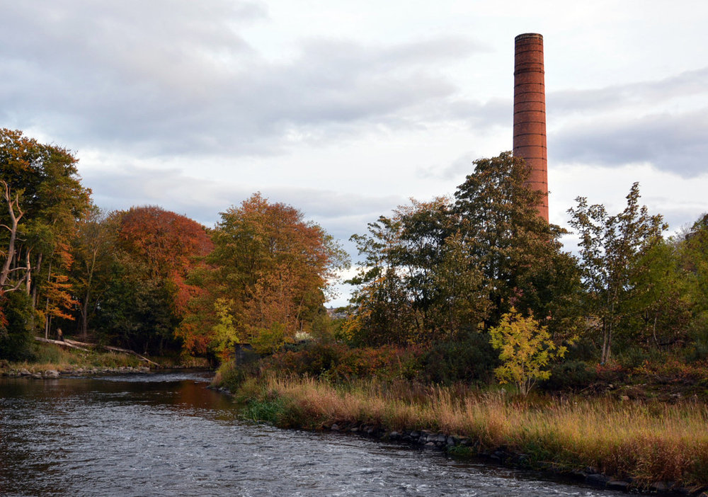 The Paper Mill | Mugiemoss