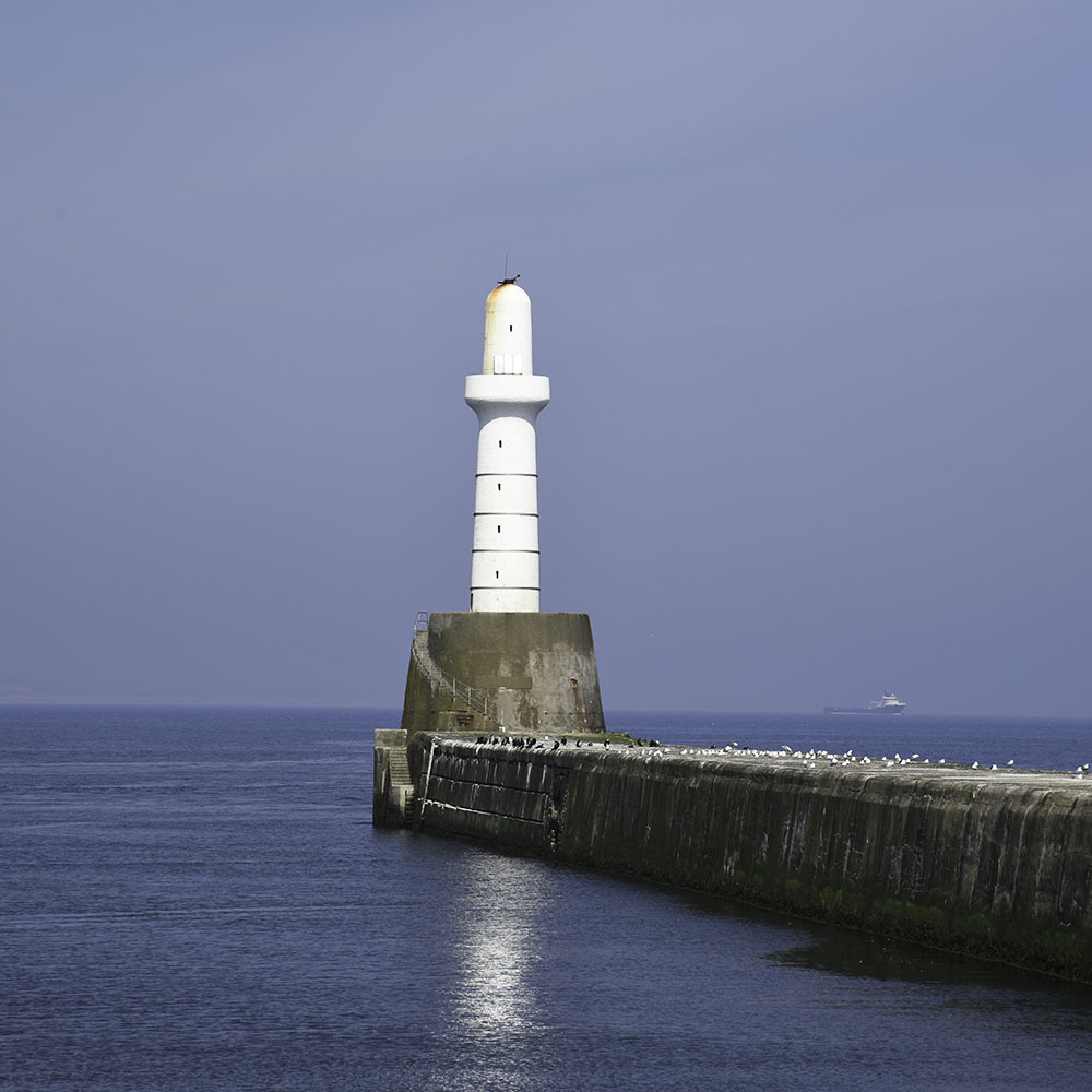 Post at the Battery
