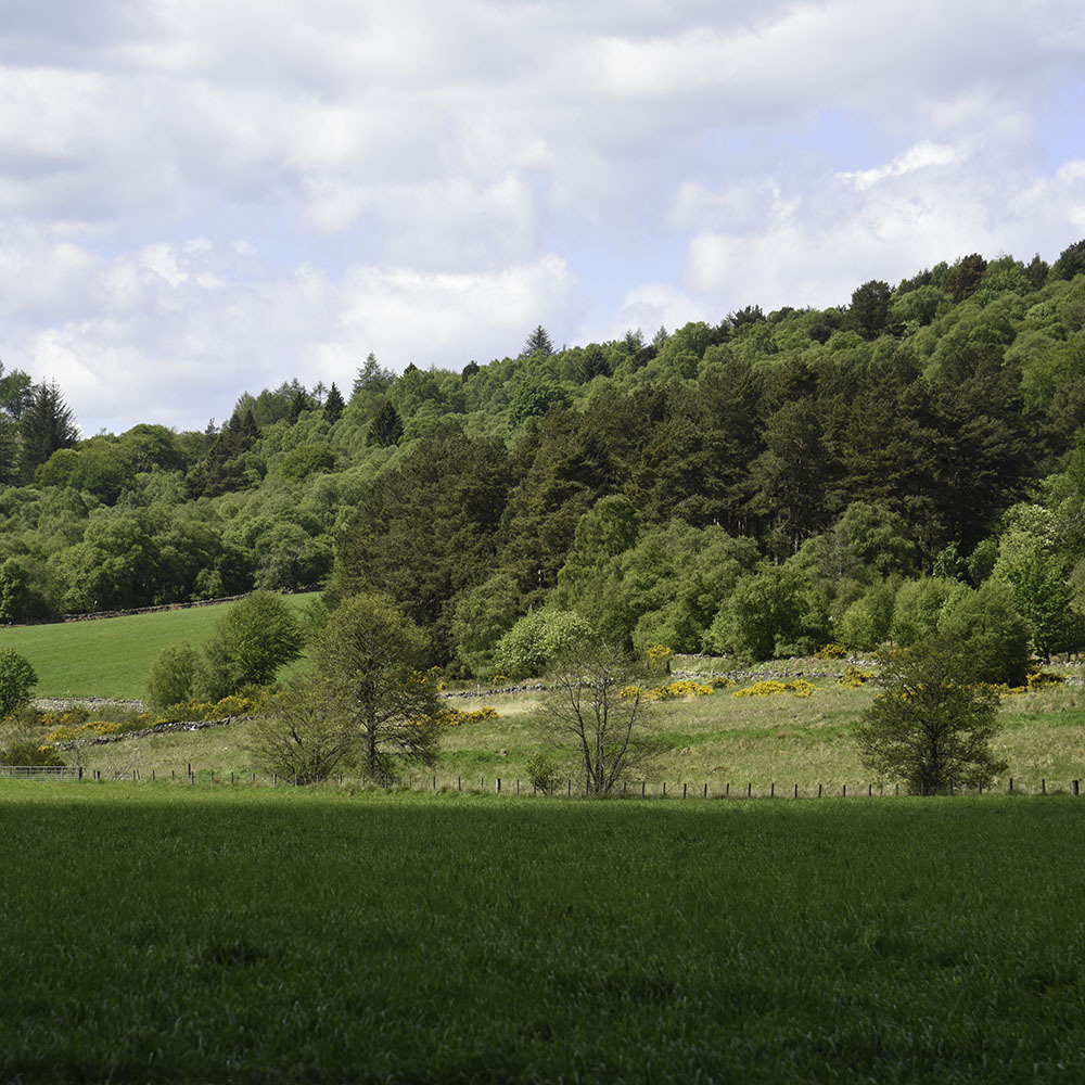 a. Wander around Bennachie