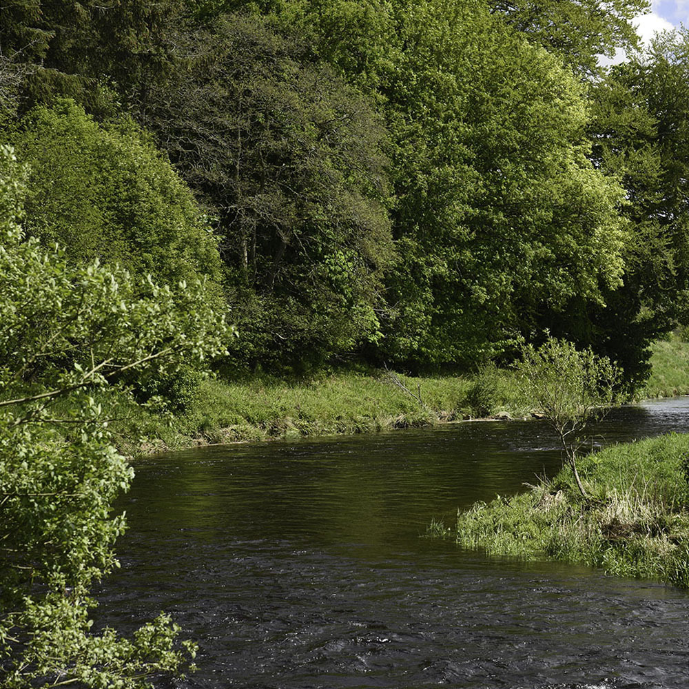 a. Wander around Bennachie