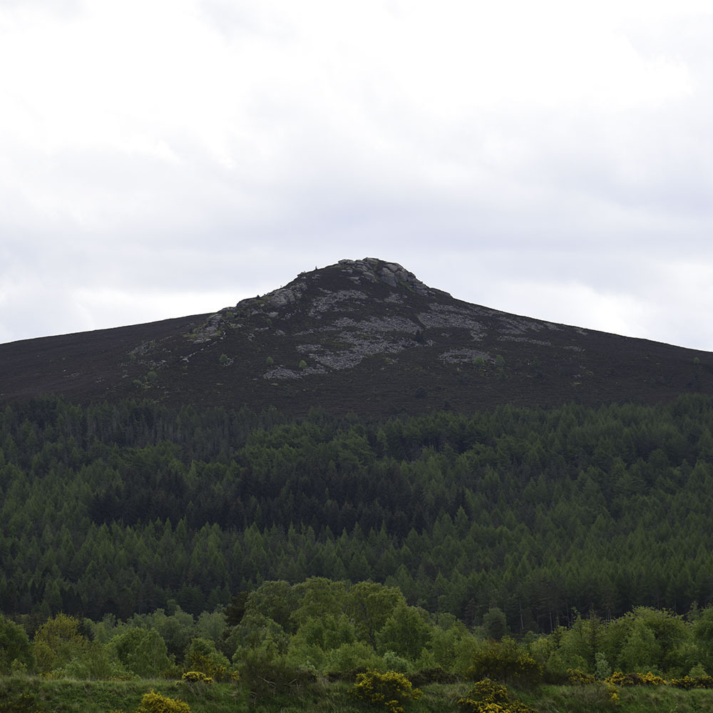 a. Wander around Bennachie