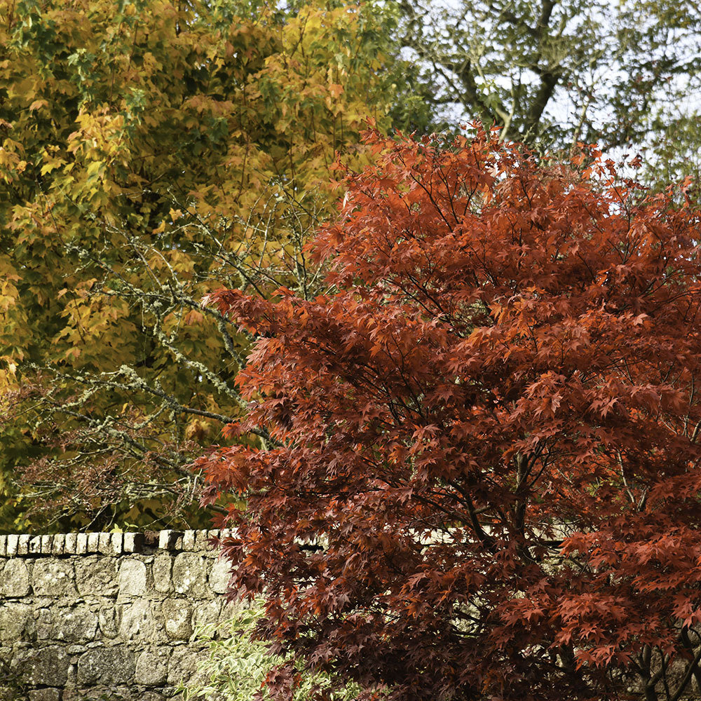 Falling Leaves | Workwear Edit