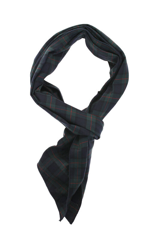 Long Scarf Plaid - Green