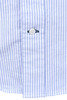 Button Down Stripe Oxford - Blue Thumbnail