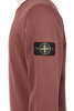 6100060 Crew Sweatshirt - Brick Red Thumbnail