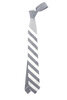 Neck Tie Stripe Chambray - Blue/Whited Thumbnail