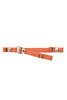 Sternum Strap With Silver Hook - Orange Thumbnail